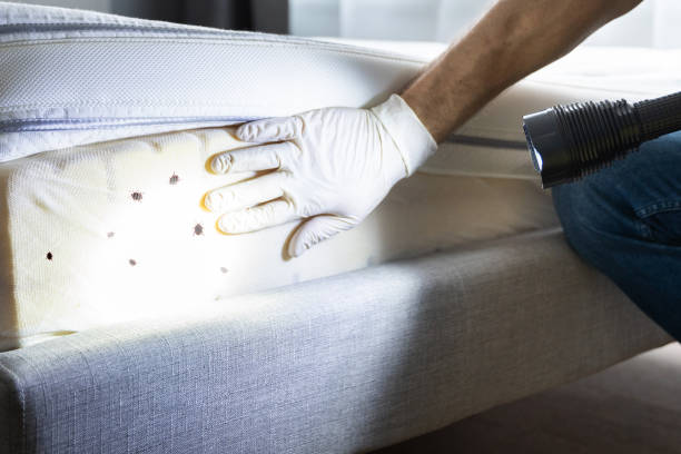 Best Bed Bug Extermination  in La Crescenta Montrose, CA