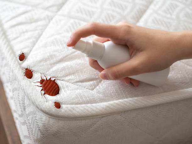 Best Insect Control  in La Crescenta Montrose, CA